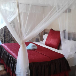 Dazi Lodge Moderate Room